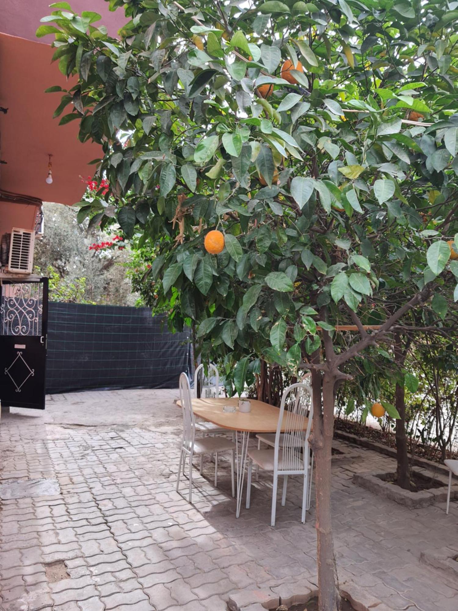 Marrakech Apartment Маракеш Екстериор снимка